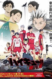 Haikyuu!!: Land Vs Air