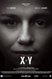 X or Y